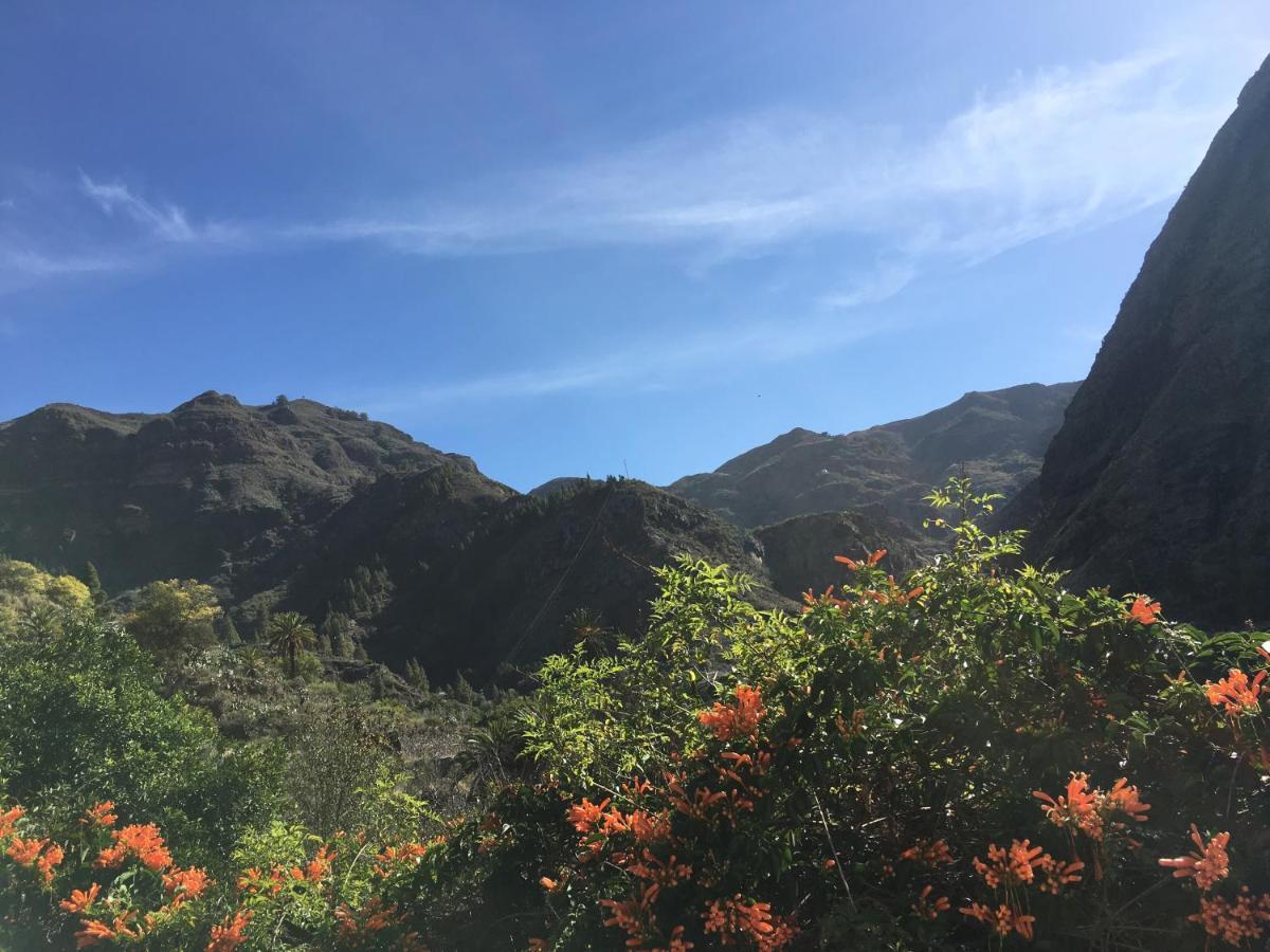 Casa Del Sol Διαμέρισμα GRAN CANARIA Εξωτερικό φωτογραφία